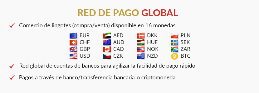 Global Payment Network Spanish.png